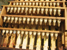 bičių motinėlės 02